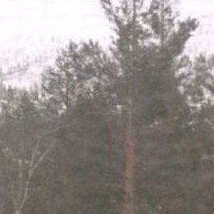 Meet your Posher, Steph